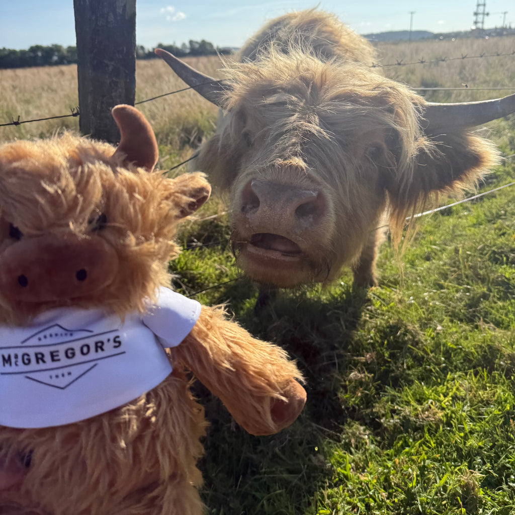MacGregor’s Highland Cow Plushie